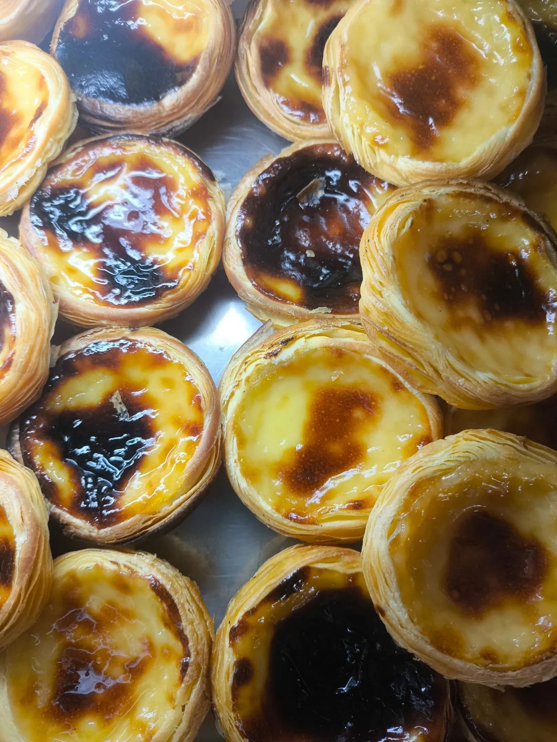 Pastéis de nata — fotografia real da Padaria do Pilado