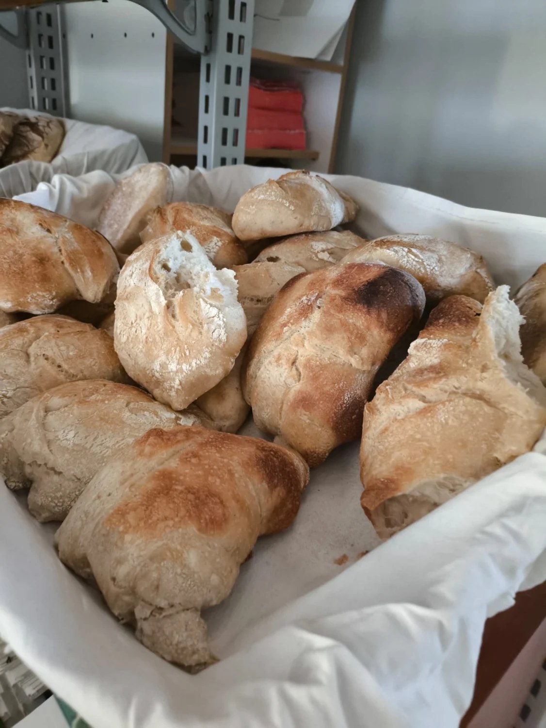 Pães da nossa padaria — fotografia real da Padaria do Pilado